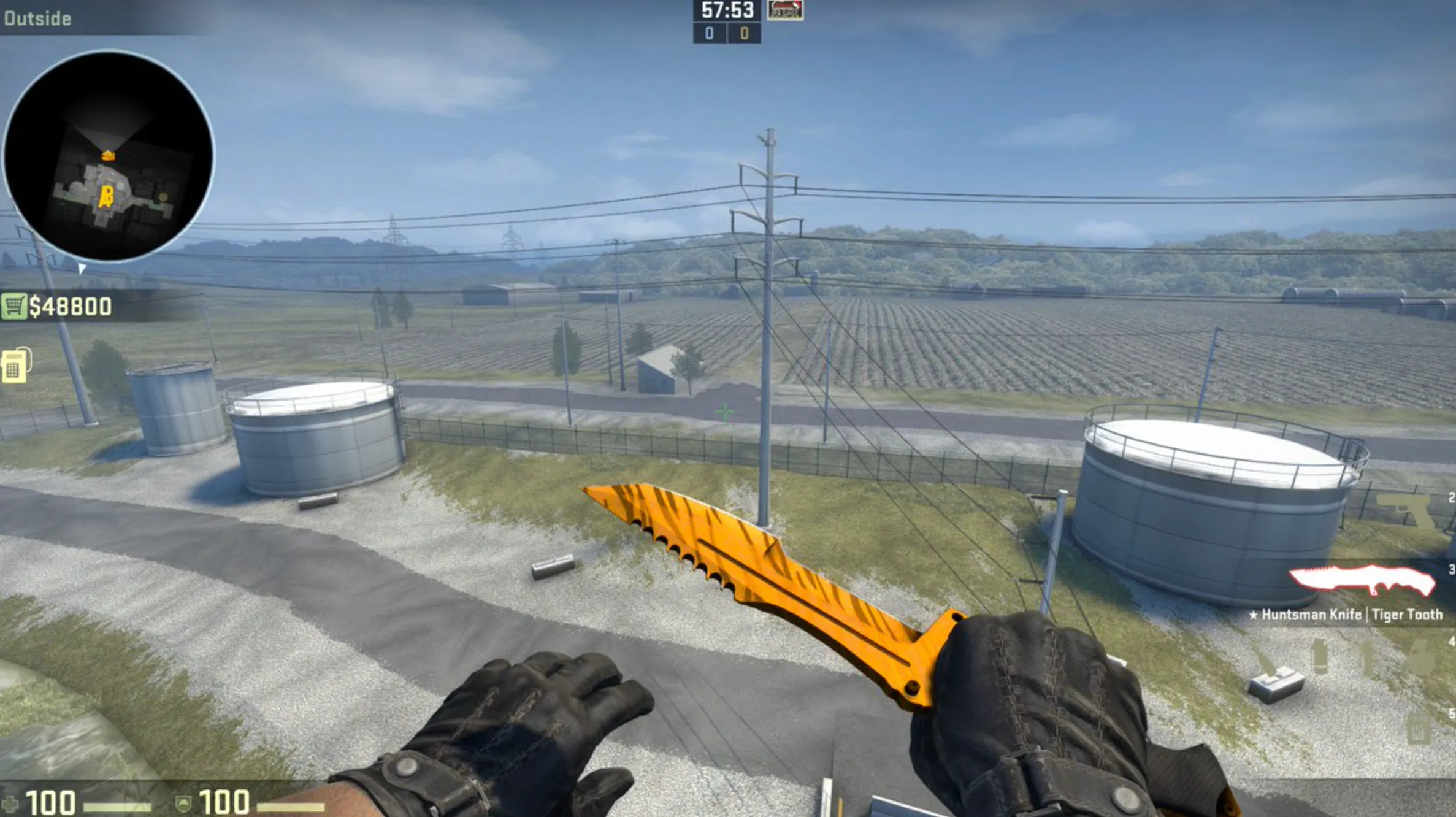 Huntsman Knife Tiger Tooth